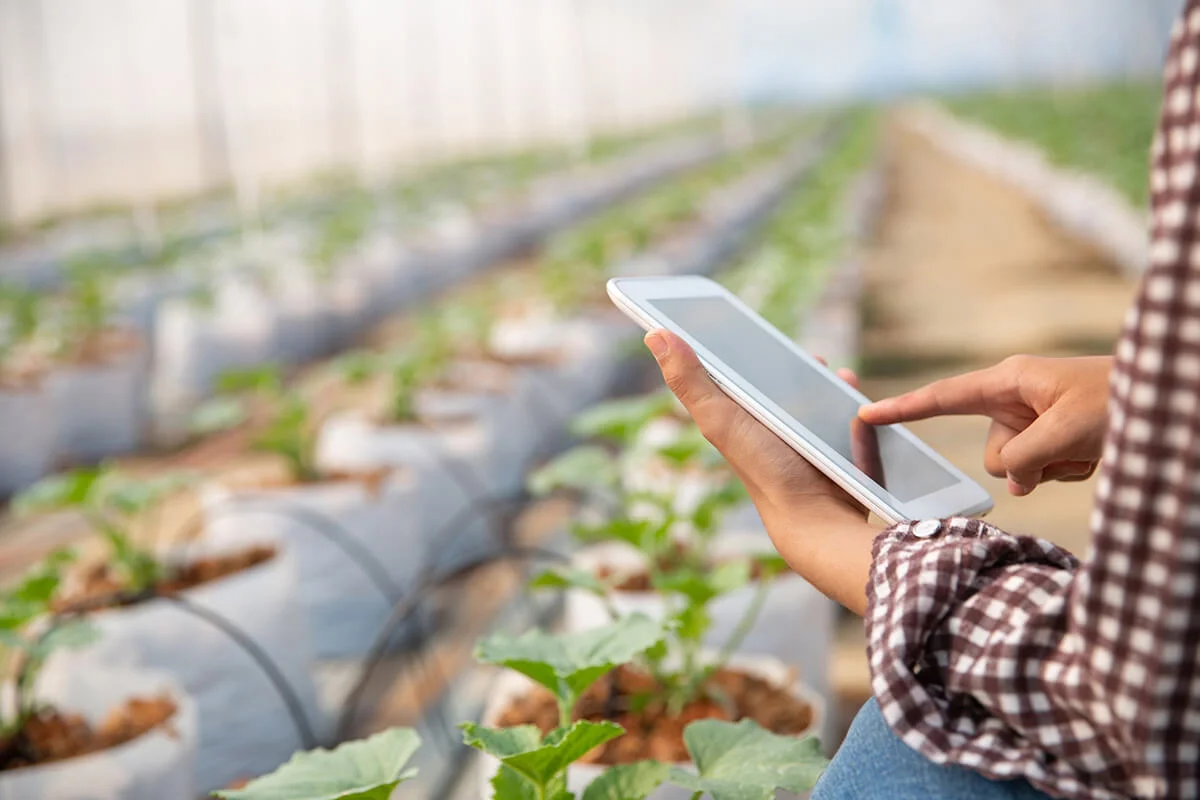 Mujer controlando plantación con tablet - Click para ver vídeo