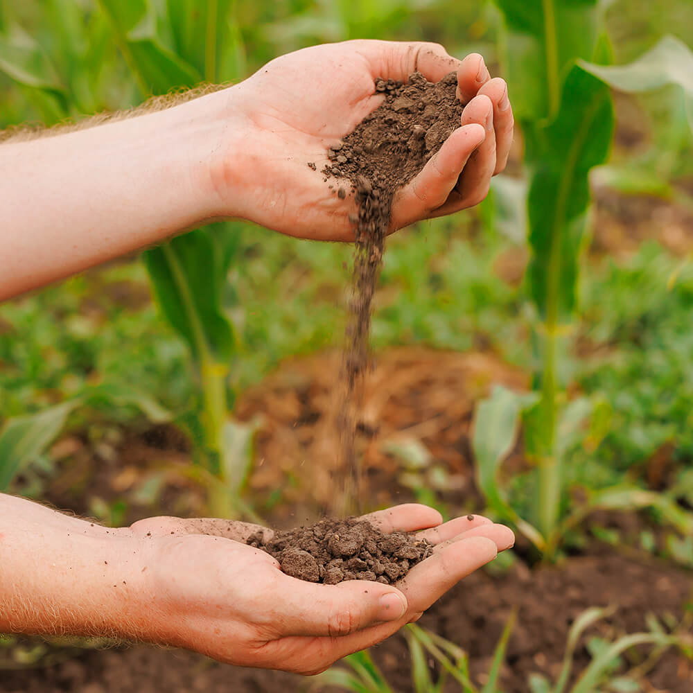 Almacén y control de productos químicos - Click para ver vídeo