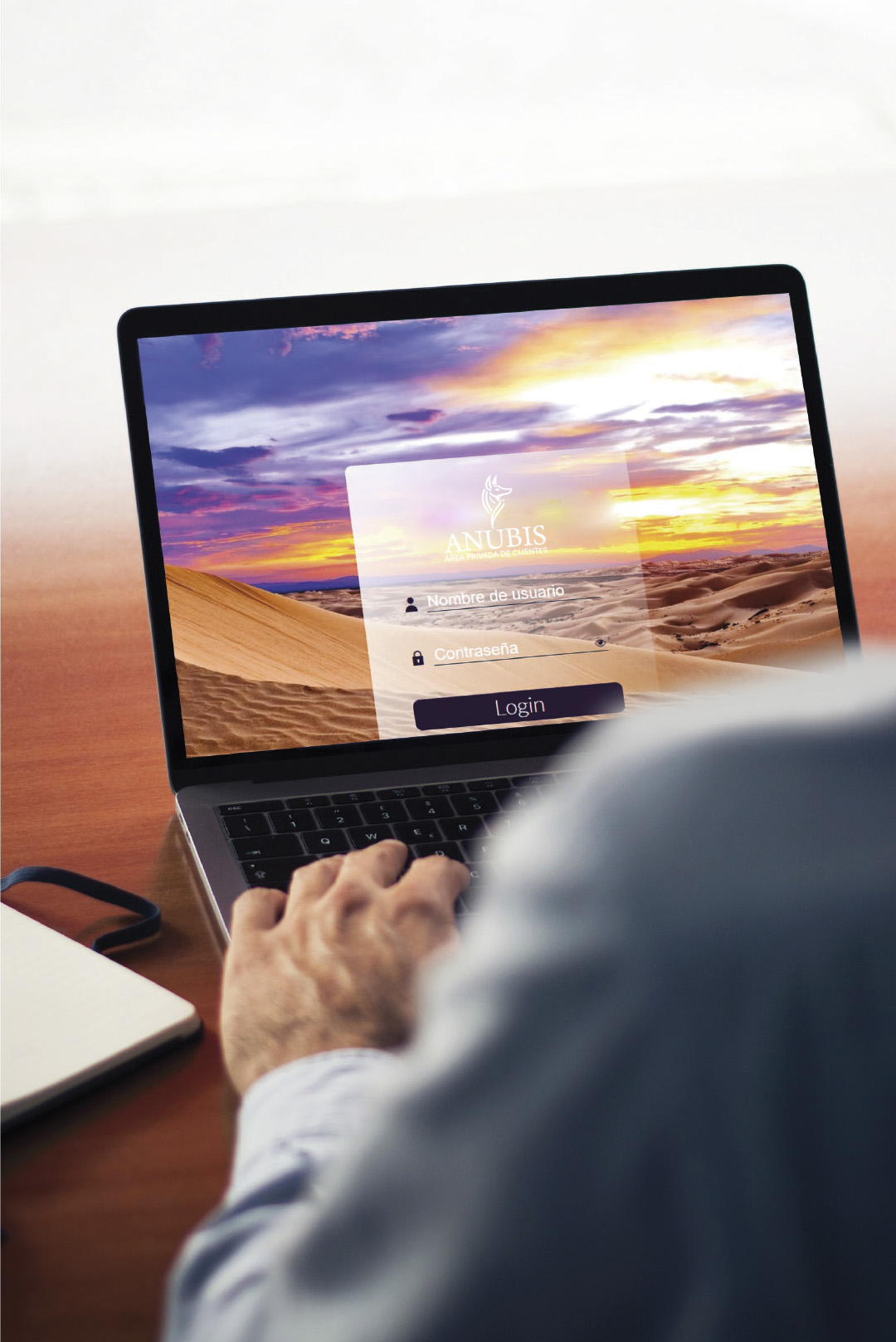 Portal del Cliente Anubis Login