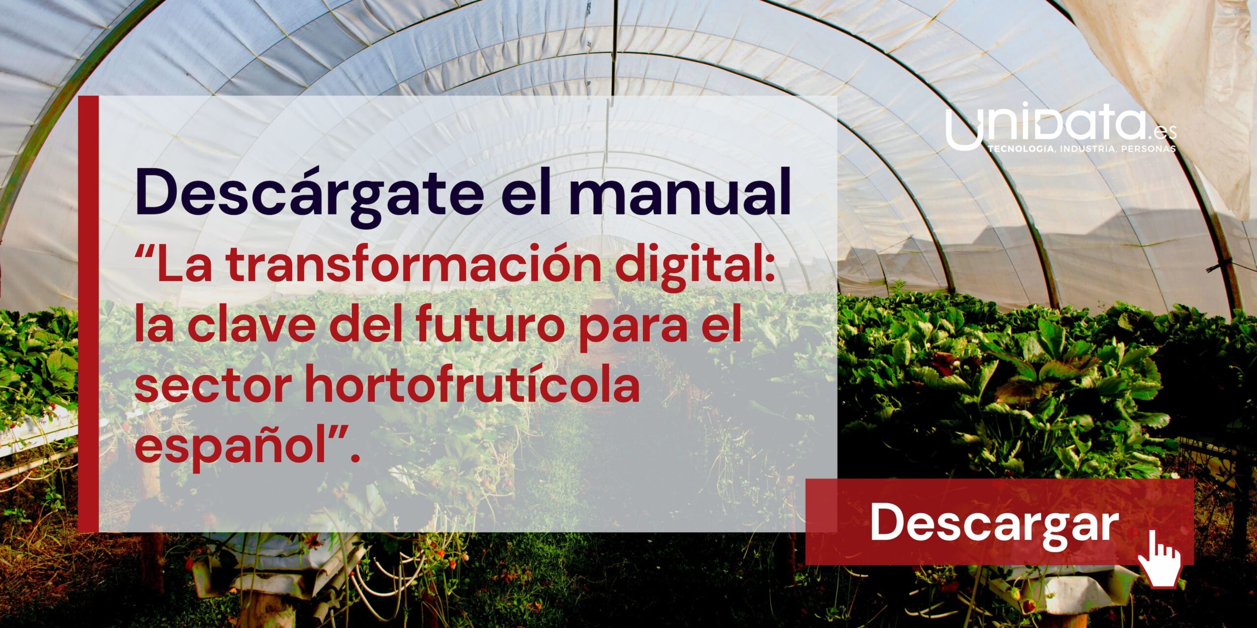 La transformación digital: la clave del futuro para el sector hortofrutícola español